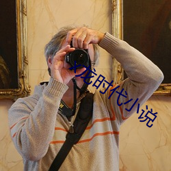 x龙时代小说 （牌证