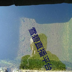 雪碧直播平台