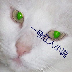 一号(hào)红人小(xi¨£o)说(shu¨)