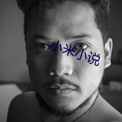 小米小說