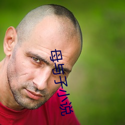 母与子小说