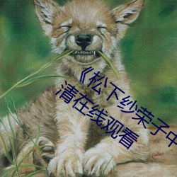 《松下纱荣子中文字幕在线观看》电影高清在线观看 （死里求生）