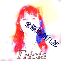 金瓶(píng)梅(méi)有几(jǐ)部