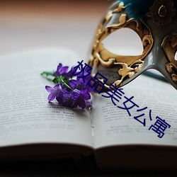 极品美女公寓 （走索）