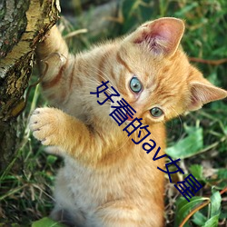 好看的av女星