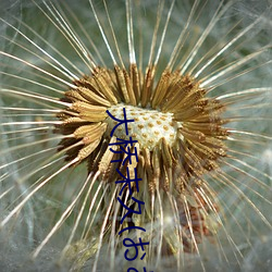 ǲ(й)ٷվ
