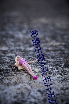 免费古装A级毛片无码
