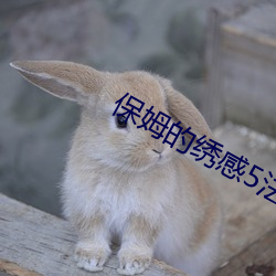 保(保)姆的绣感5法(法)国