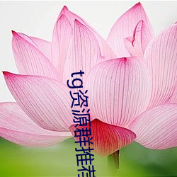 tg資源群推薦
