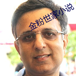 金粉世家小說