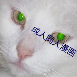 成人同人漫画