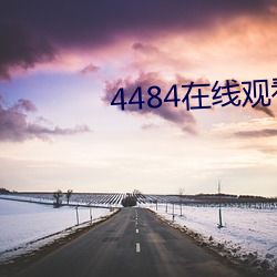 4484在線觀看視頻