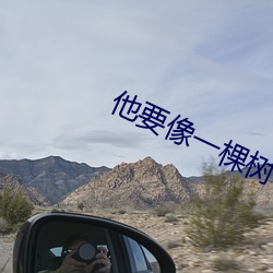 他(tā)要(yào)像一(yī)棵树