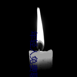 年轻人免费(費)聊(聊)天软件