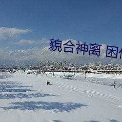 貌合神离 困倚危楼