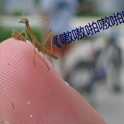 《嗷嗷啪(pā)嗷(áo)啪啪(pā)
