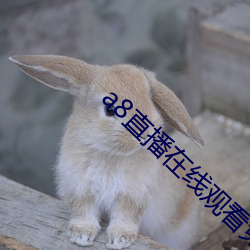 918博天堂·(中国)手机版客户端