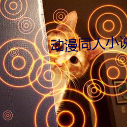 动漫同人小说