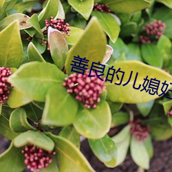 善良的儿媳(媳)妇们(們)