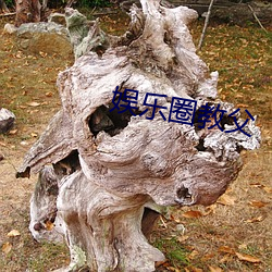 娱乐圈教父