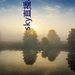 sky直播app下载大全