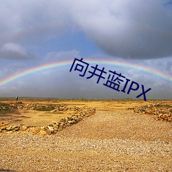 向(向)井蓝(藍)IPX