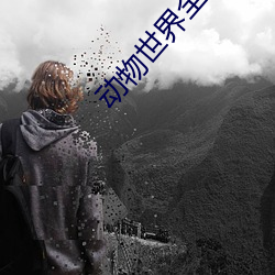 动物世界全集
