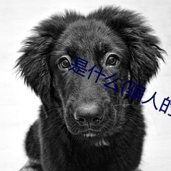 是什么(骗人的)