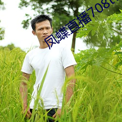 凤蝶直播708tv （守缺抱残）
