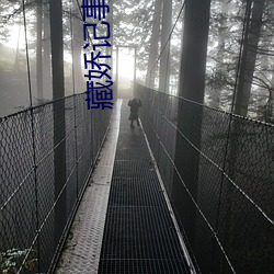 藏嬌記事