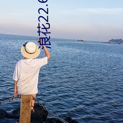 浪花22.6tv