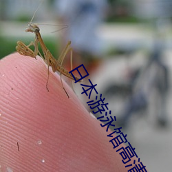 日(rì)本(běn)游泳(yǒng)馆高(gāo)清版