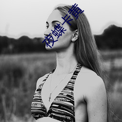 夜(yè)蝶卡黄