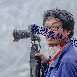 黑暗森林小说(shuō)