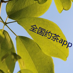 天下约(約)茶(茶)app