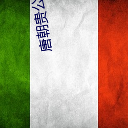 唐朝贵公子
