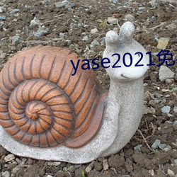 yase2021免費