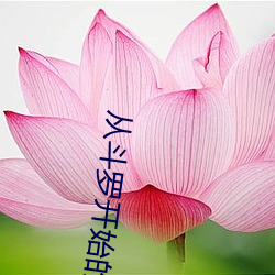 从斗罗开始的浪人