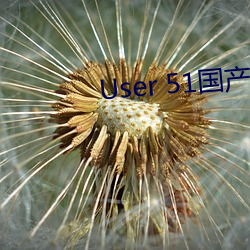 User 51国产黑(hēi)料吃(chī)瓜张(zhāng)津瑜(yú)