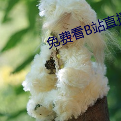 免費看B站直播APP
