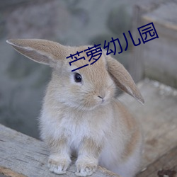 苎(苎)萝幼(幼)儿园