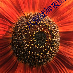 金年会(中国)官方网站