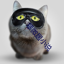 ca88手机客户端(安卓/苹果)CA88会员登录入口