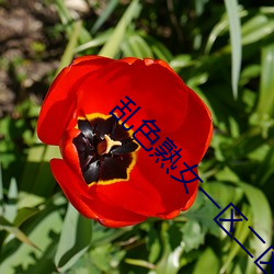 九游会登录j9入口 - 中国官方网站 | 真人游戏第一品牌