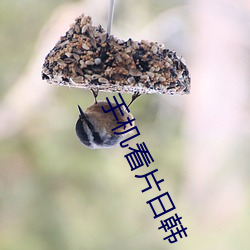 米乐M6·(中国)官方网站