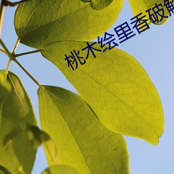 桃木绘里香破解