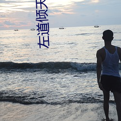 左(zuǒ)道倾天小说