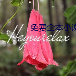 免费全本小说