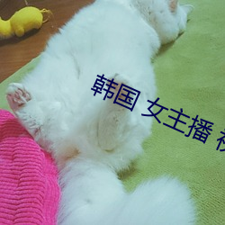韩国 女主(主)播 视频