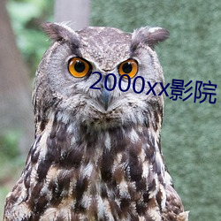 2000xx影院